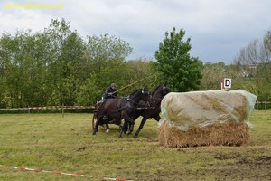 nik_017078_aethaixo.jpg
