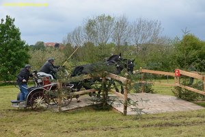 nik_017095_ceghooto.jpg