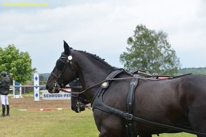 nik_017125_poofephi.jpg