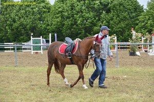 nik_017129_uxieyeiw.jpg