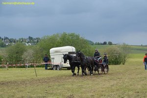 nik_017135_ahchothi.jpg