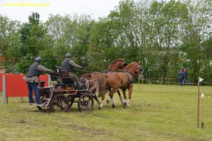 nik_017154_uiwotiep.jpg