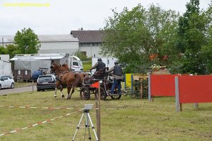 nik_017158_feicuequ.jpg