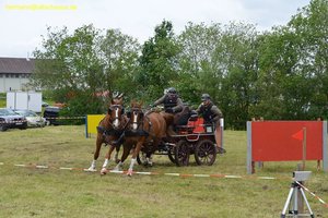 nik_017166_akahchoo.jpg