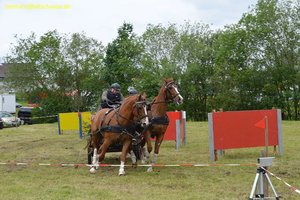 nik_017167_jeizeuha.jpg