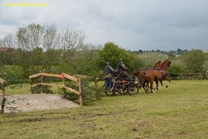 nik_017206_atalaeju.jpg