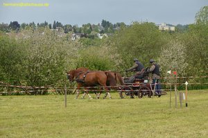 nik_017208_ahkahphe.jpg