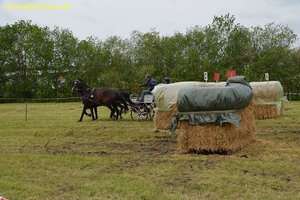 nik_017264_kiengahs.jpg