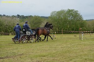 nik_017281_eigiquoo.jpg