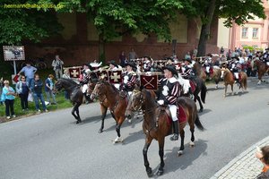nik_018377_ahpheizo.jpg
