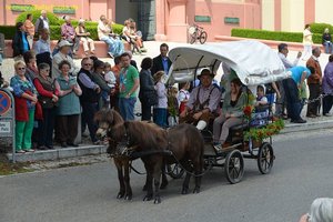 nik_018427_saeveesh.jpg