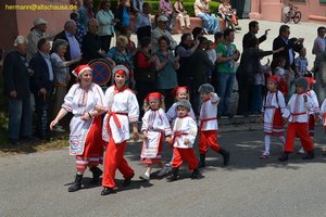 nik_018447_azoochoh.jpg