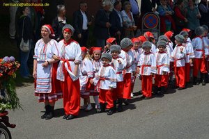 nik_018456_seedoubi.jpg