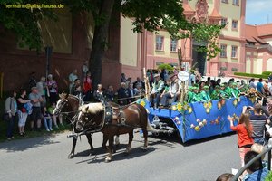 nik_018477_weeraewu.jpg