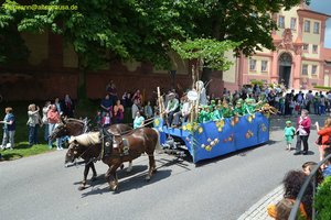 nik_018479_naaquaim.jpg