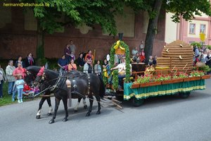 nik_018485_shookohd.jpg