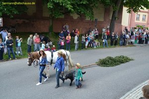 nik_018490_ihacaeng.jpg