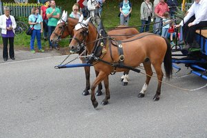 nik_018621_eineihee.jpg