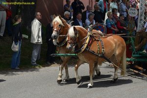 nik_018640_phoojuel.jpg