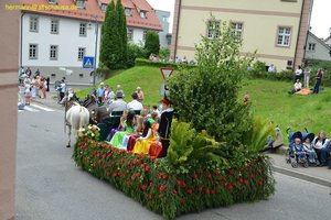 nik_018665_mohfeini.jpg