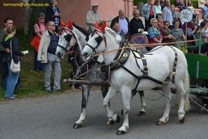nik_018686_iacheiya.jpg