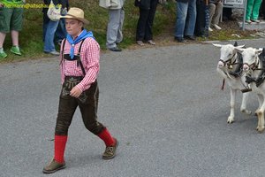 nik_018691_zieducai.jpg