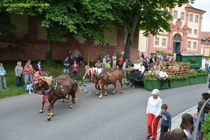 nik_018743_pieghahb.jpg