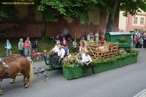 nik_018745_oowoowir.jpg