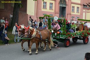 nik_018824_zojohsuz.jpg