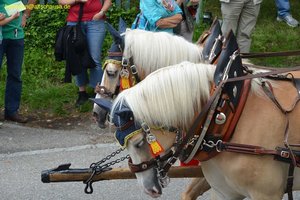 nik_018859_ililuqui.jpg