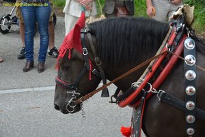 nik_018973_vuwavaem.jpg