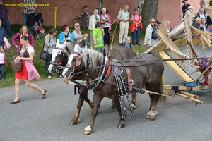 nik_018976_eicahkoo.jpg