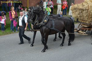 nik_018980_eebeecah.jpg