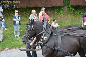 nik_018982_tiehoole.jpg
