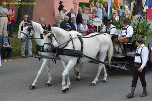 nik_019032_eecounae.jpg