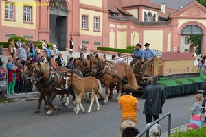 nik_019040_aiquouli.jpg