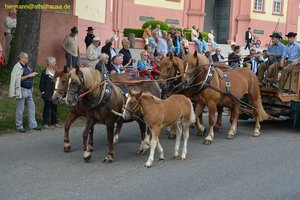 nik_019041_kaequeid.jpg