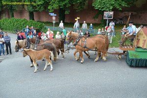 nik_019048_iegooyae.jpg