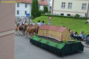 nik_019051_mohraqua.jpg