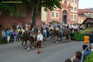nik_019070_eiloisah.jpg