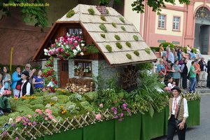 nik_019075_guzaasuk.jpg