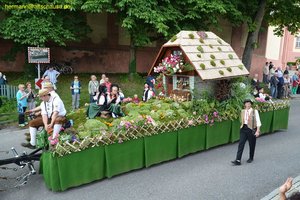 nik_019076_etahcuar.jpg