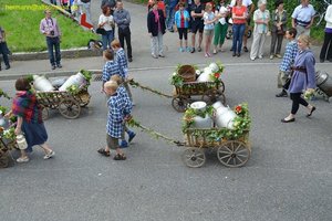 nik_019117_quaitavu.jpg