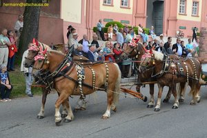 nik_019143_oovafeor.jpg