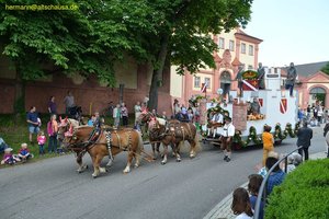 nik_019146_aideigob.jpg