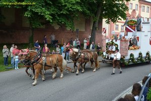 nik_019147_quiedoob.jpg