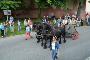 nik_019167_phiehohr.jpg