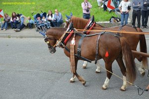 nik_019229_phocohtu.jpg