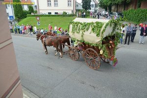 nik_019230_aijaevaf.jpg