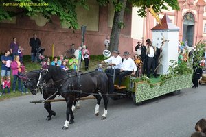 nik_019232_wohxuovi.jpg